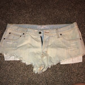 Kittenish Shorts